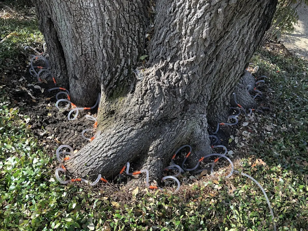 Detailed Shrub and Hedge Trimming job site in Lecompton