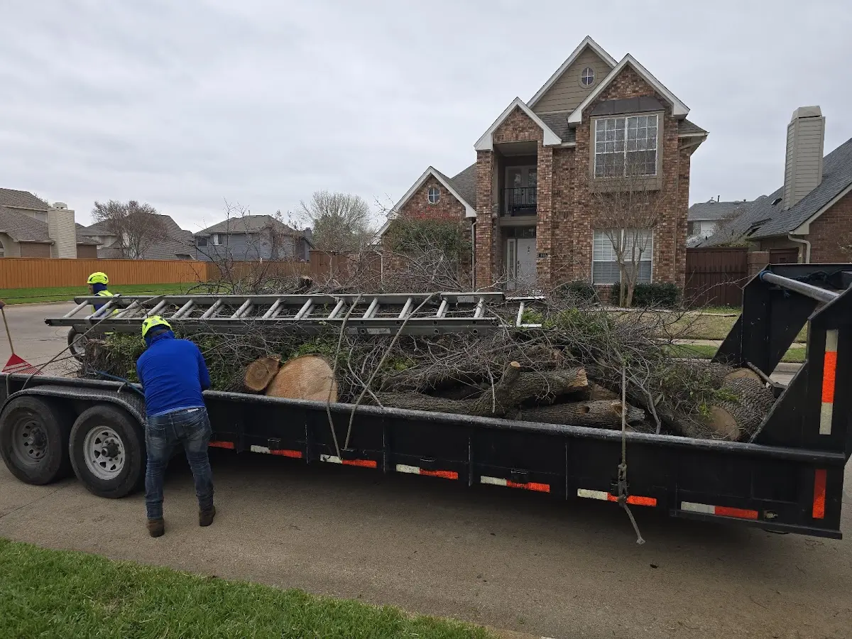Expert Tree Fertilization with proper safety equipment in Lecompton